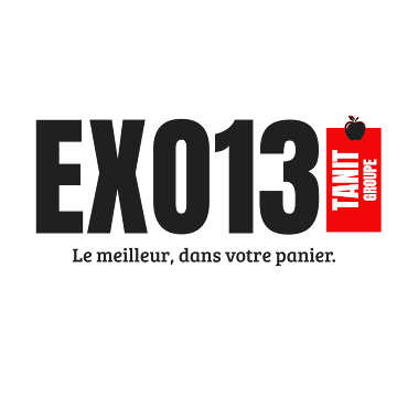 EXO13